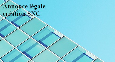 modèle annonce legale snc