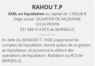 exemple annonce legale cloture liquidation 1