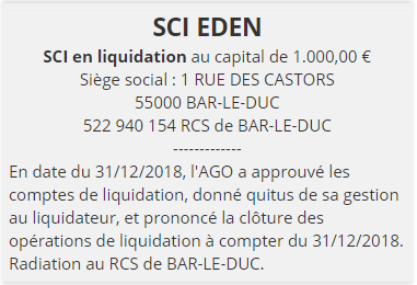 exemple annonce legale cloture liquidation 4